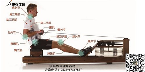 划船机和开云集团官网开云集团官网首页-开云(中国)
哪个锻炼更有效